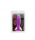 PLUG ANAL PEQUENO LILA 15CM