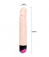 COLORFUL SEX VIBRACION Y ROTACION 24 CM