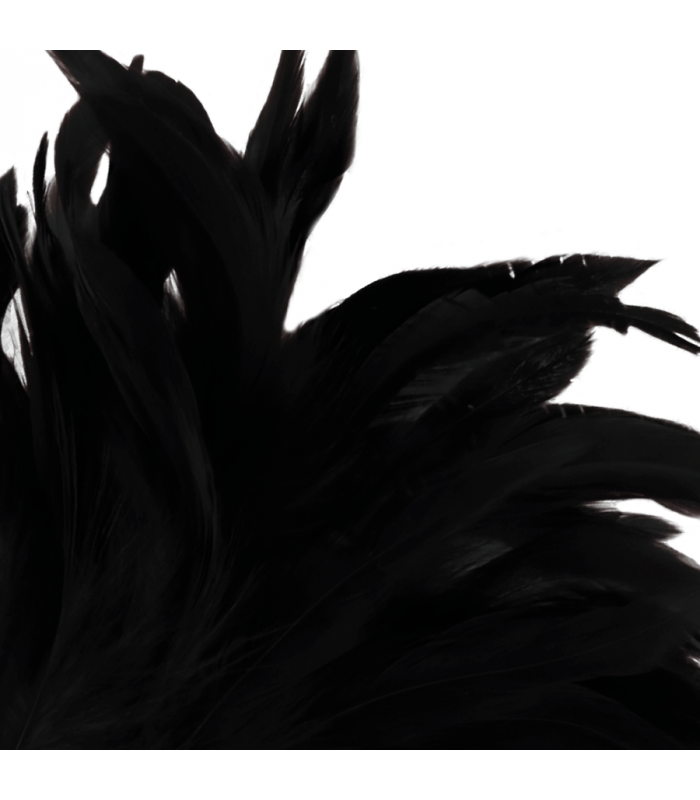 DARKNESS PLUMA ESTIMULADORA NEGRO LUX