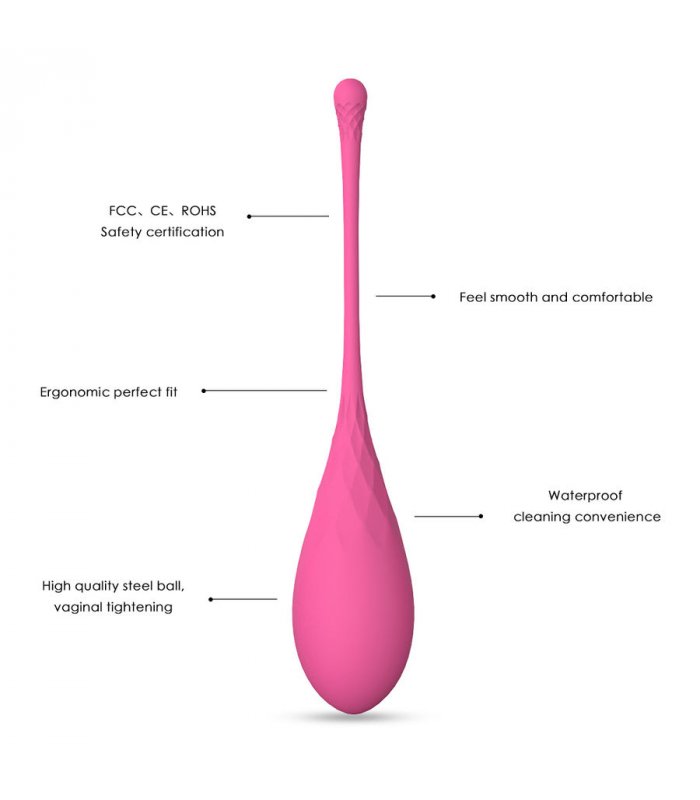 LESLIE KEGEL FIT ENTREGADOR SUELO PELVICO 6PCS