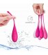 LESLIE KEGEL FIT ENTREGADOR SUELO PELVICO 6PCS