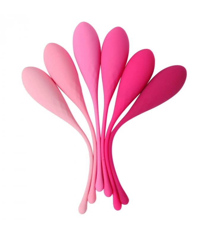 LESLIE KEGEL FIT ENTREGADOR SUELO PELVICO 6PCS